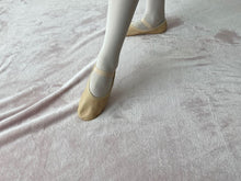 Load image into Gallery viewer, Ballet Shoes
